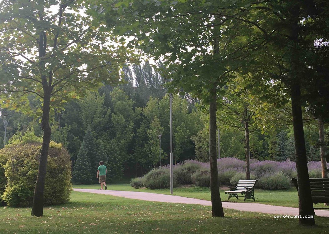 (26150)  - Sazova Çiftlik Yolu — foto
