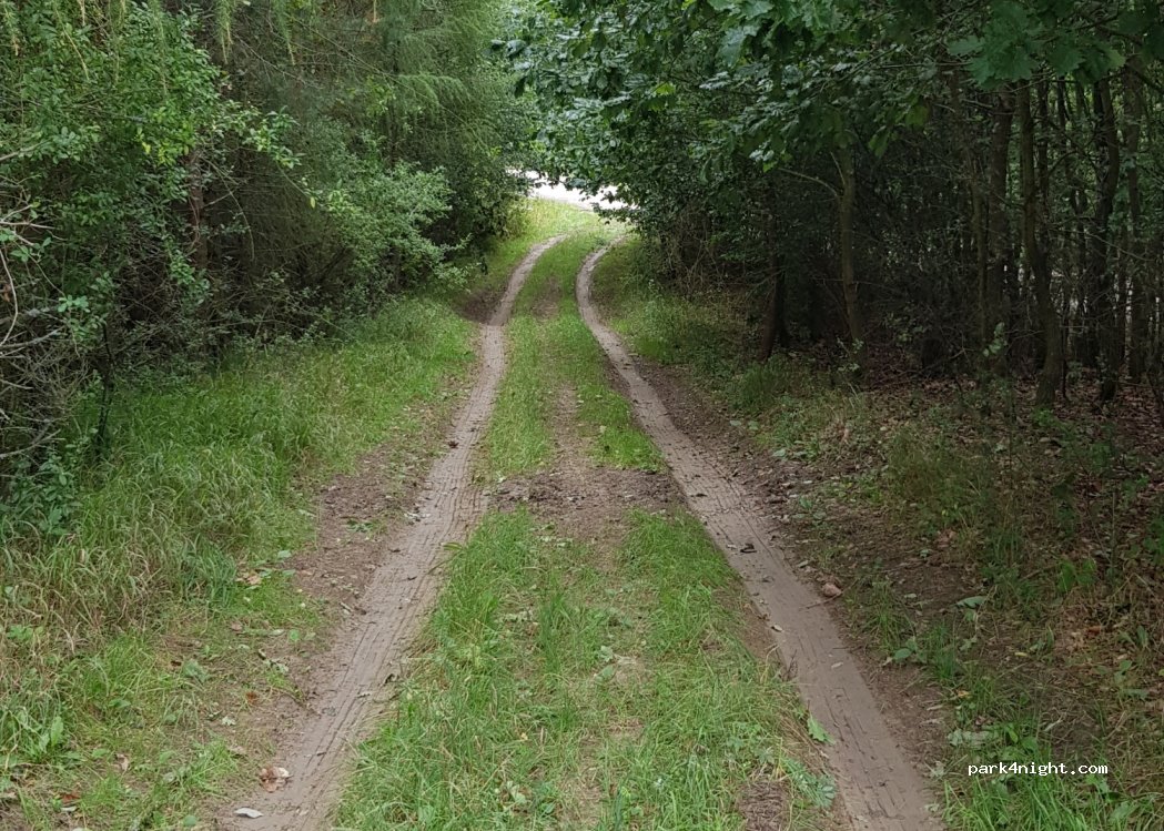(010 04) Brezany - Unnamed Road — foto