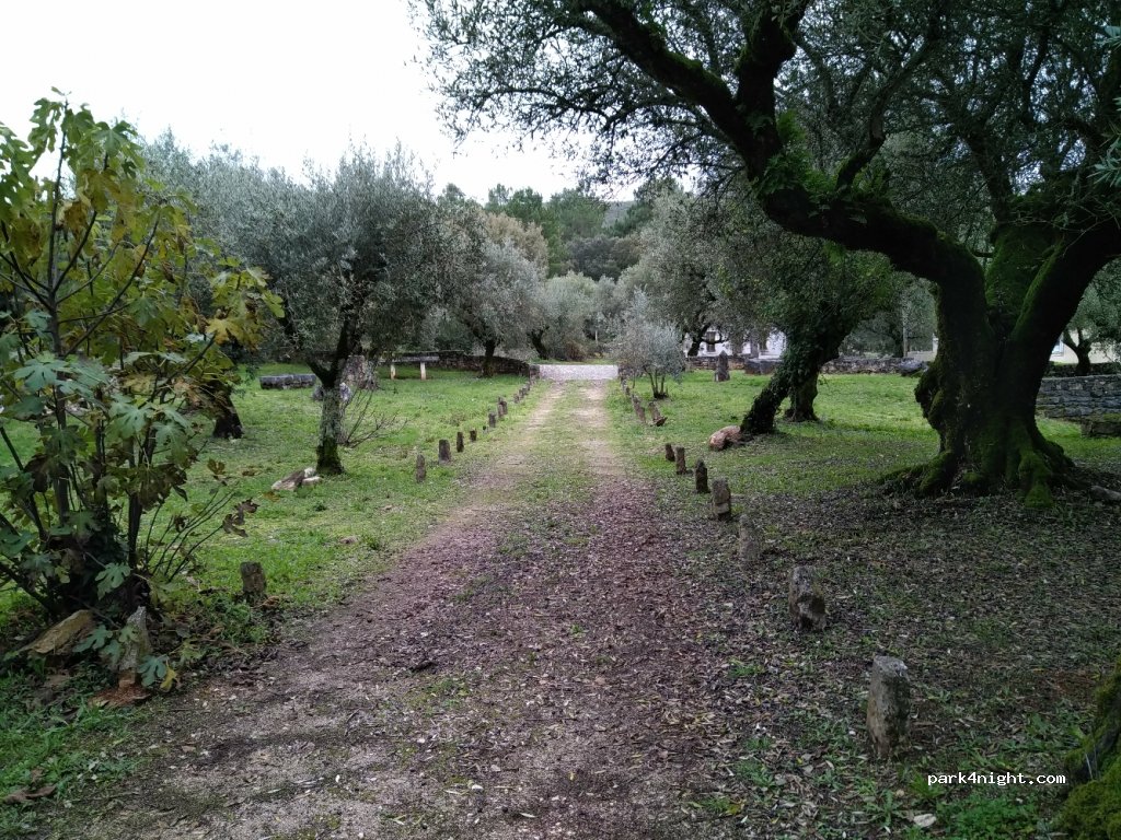 (2395) Minde - 103 Estrada Nossa Senhora de Fátima — foto 4