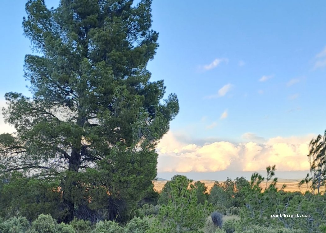 (30510) Yecla - Unnamed Road — foto 3