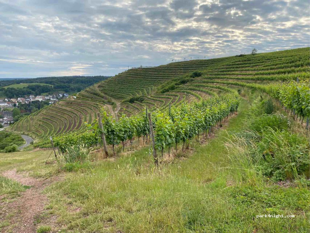 (55595) Wallhausen - 9 Windesheimerstraße — foto 3