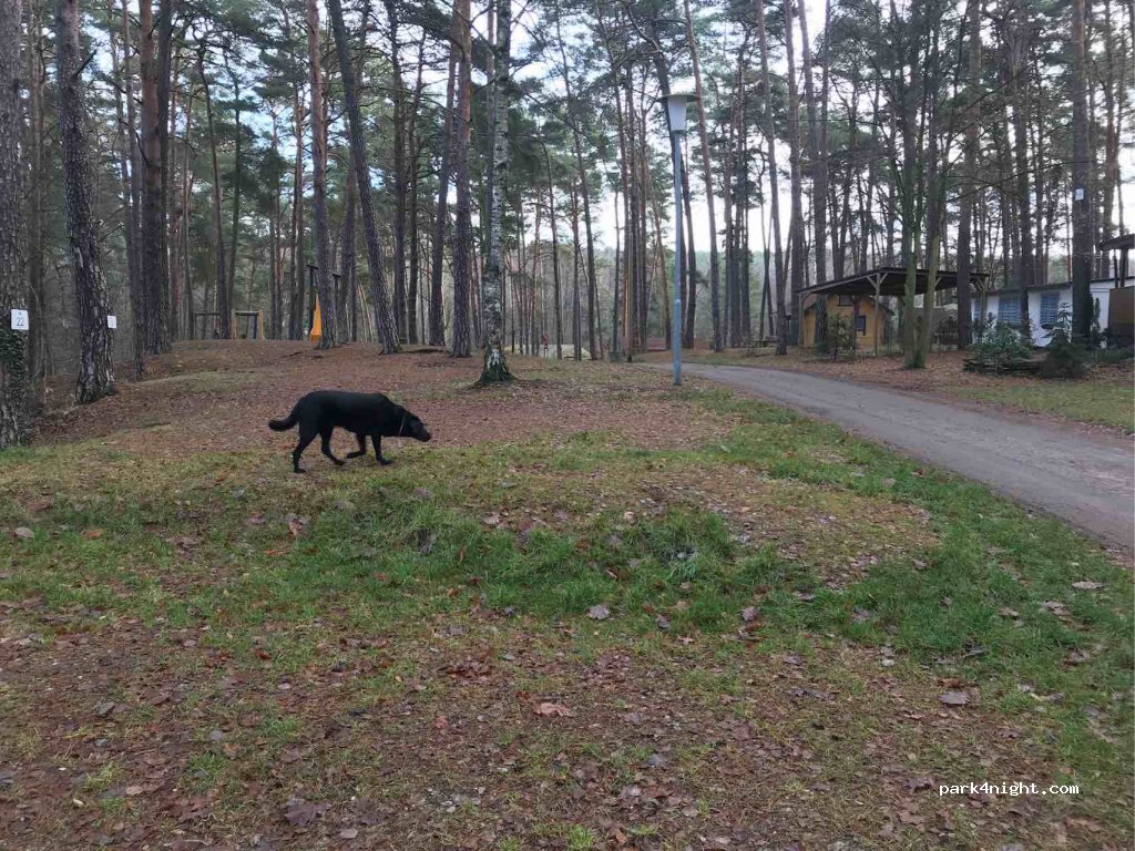 Naturcampingplatz on Springsee — foto 2