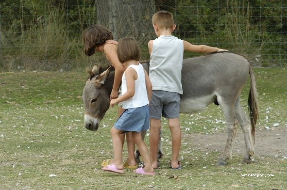 Camping Les Fontaines *** — foto 5
