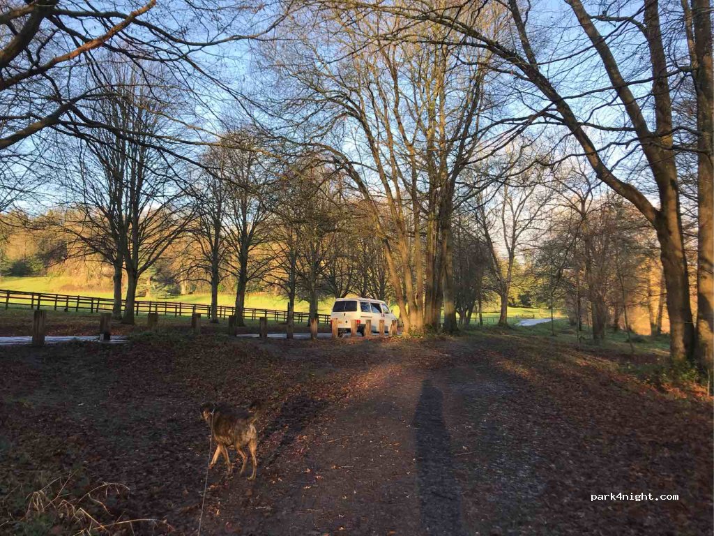 (SP3) Salisbury - Unnamed Road — foto