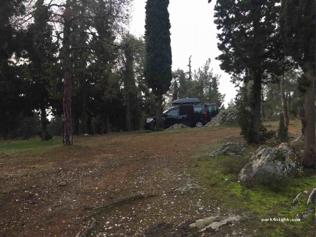 (555 35)  - Unnamed Road — foto 3