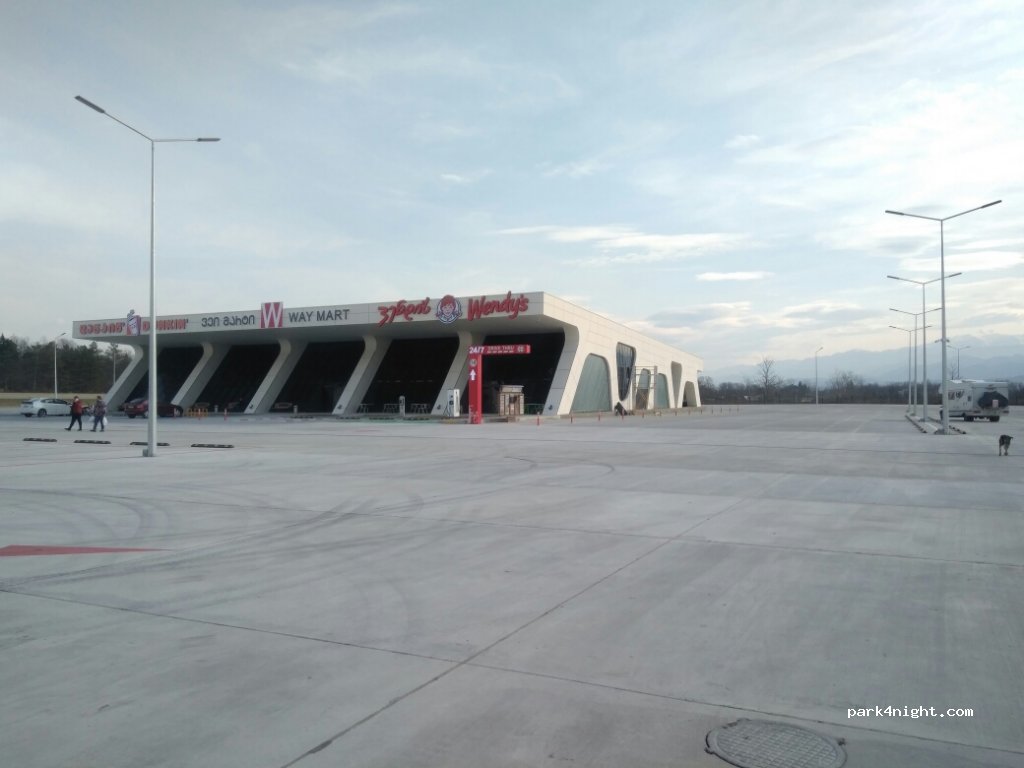 () - Tbilisi - Senaki - Leselidze Highway — foto 2