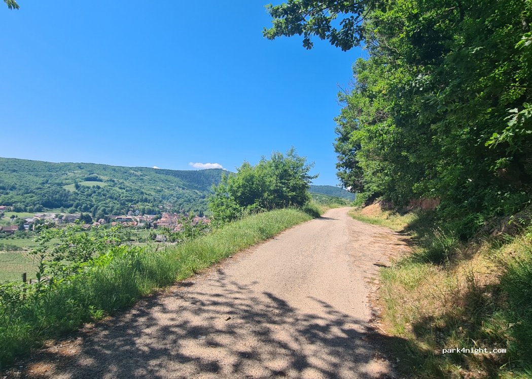 (67140) Andlau - D62 — foto 3