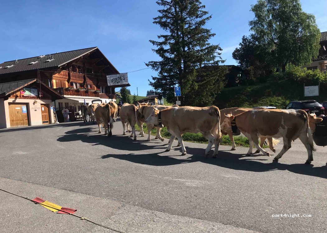 CAMPINGHAUS JAUNPASS — foto 3