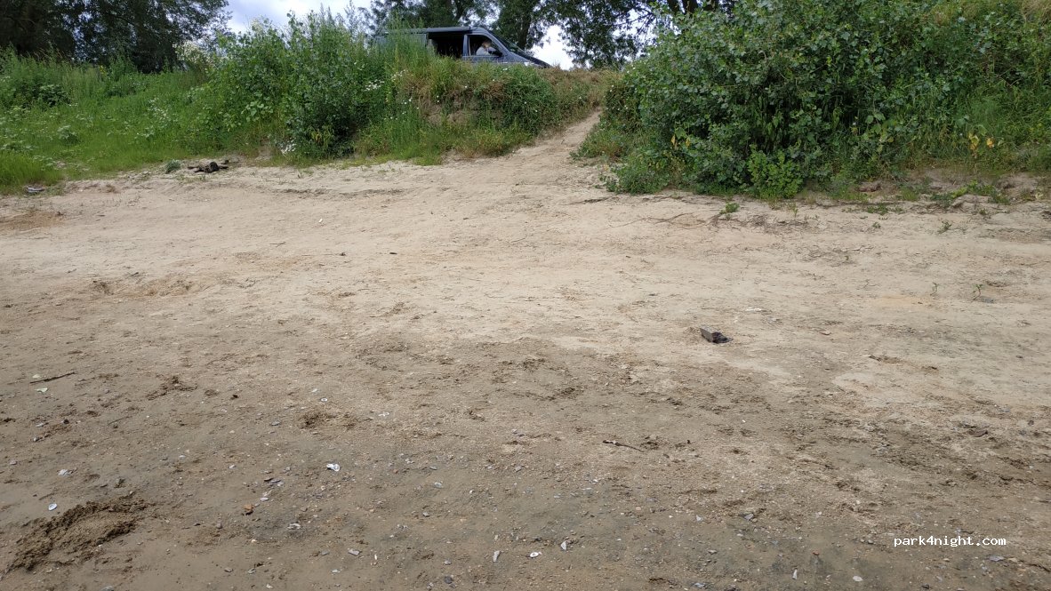 (49290) Chalonnes-sur-Loire - Queue de Margerie — foto