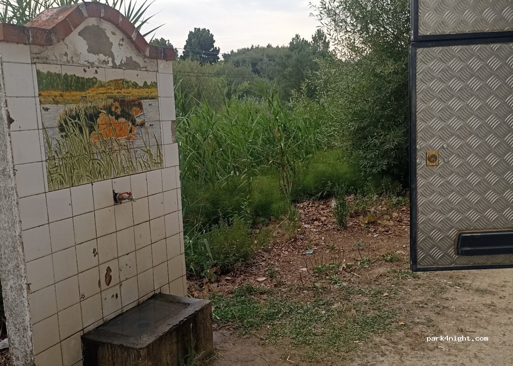 (2500-303) Caldas da Rainha - N8 — foto