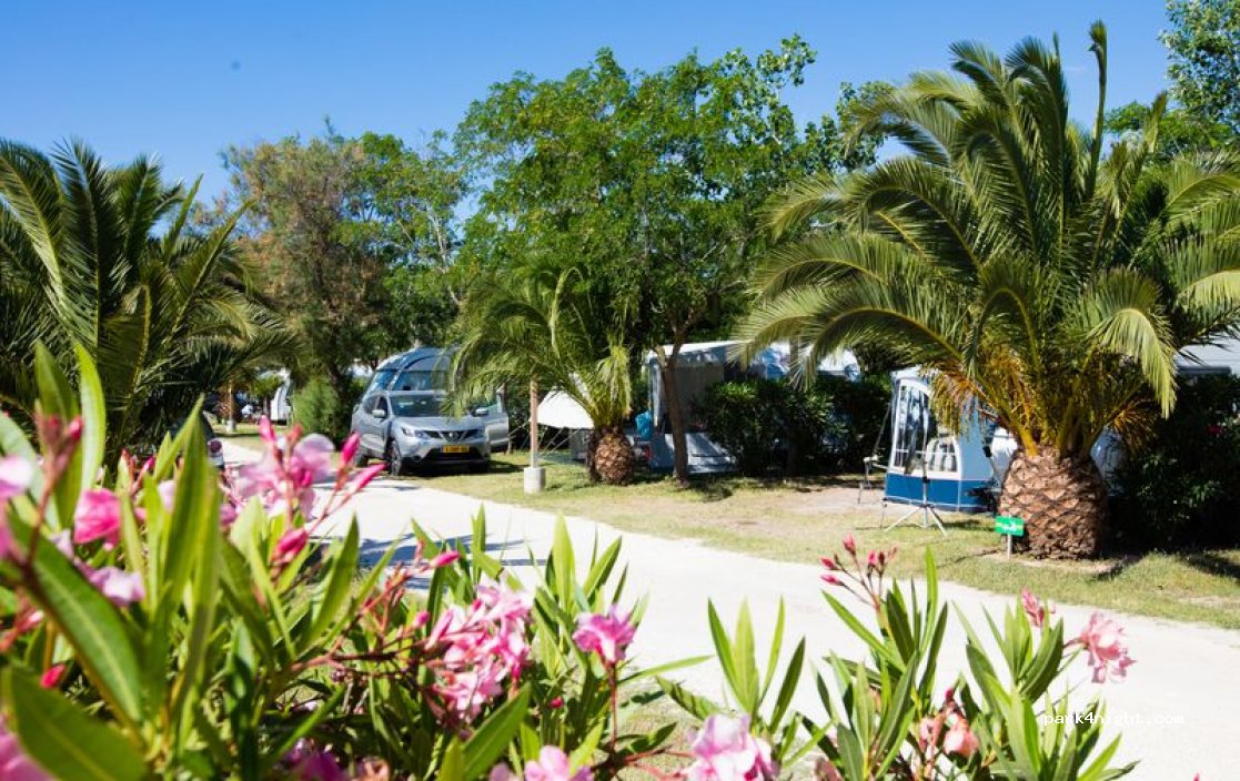 Camping Le Neptune — foto 3