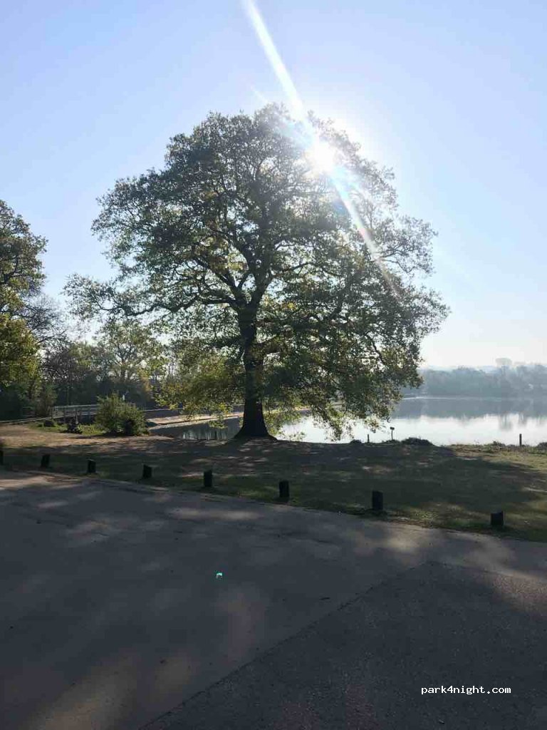 Aldenham Park — foto 4