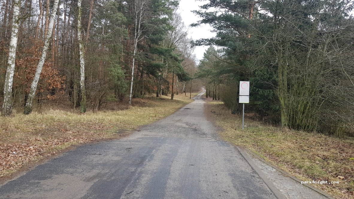 (62-004) Czerwonak - 4 Dziewicza Góra — foto 2