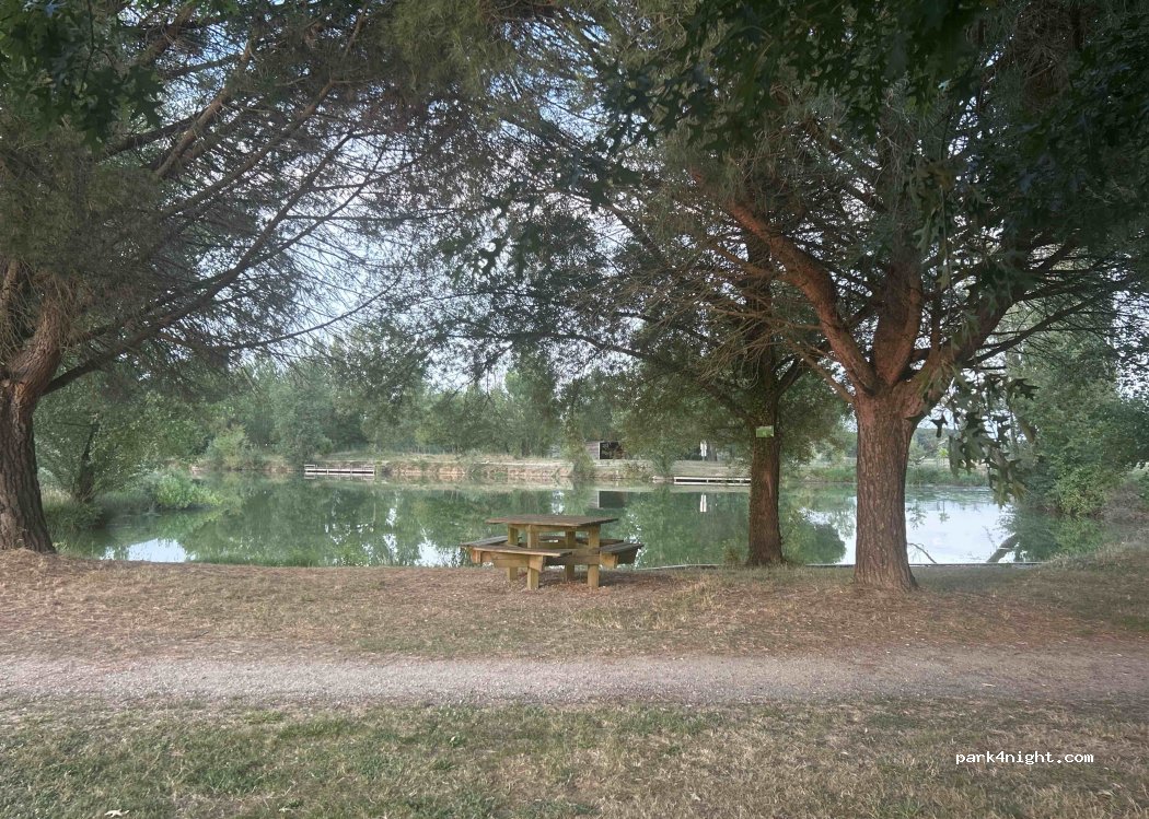 (81220) Damiatte - D49 — foto 2
