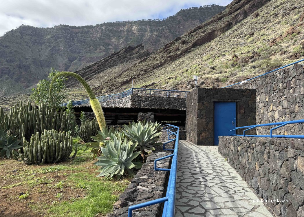Santa Cruz de Tenerife - — foto 4
