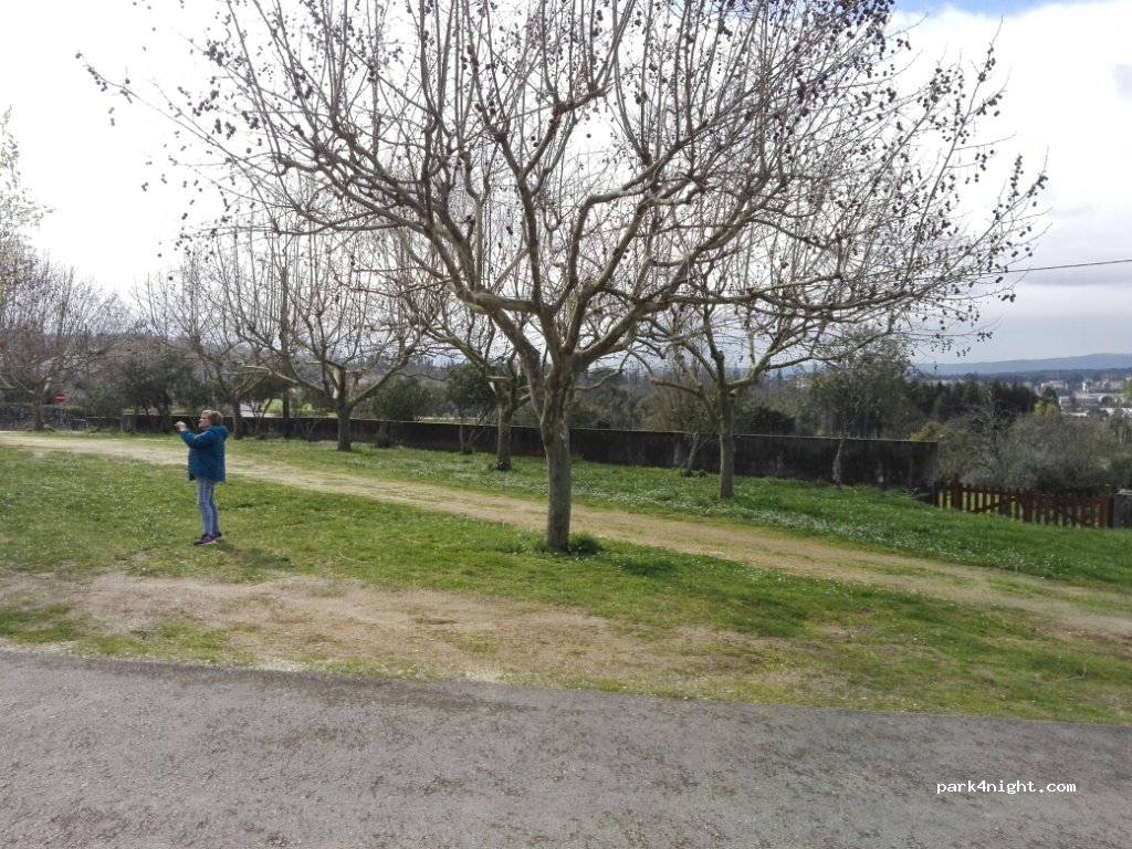 (3350) São Miguel de Poiares - Calçada da Igreja — foto