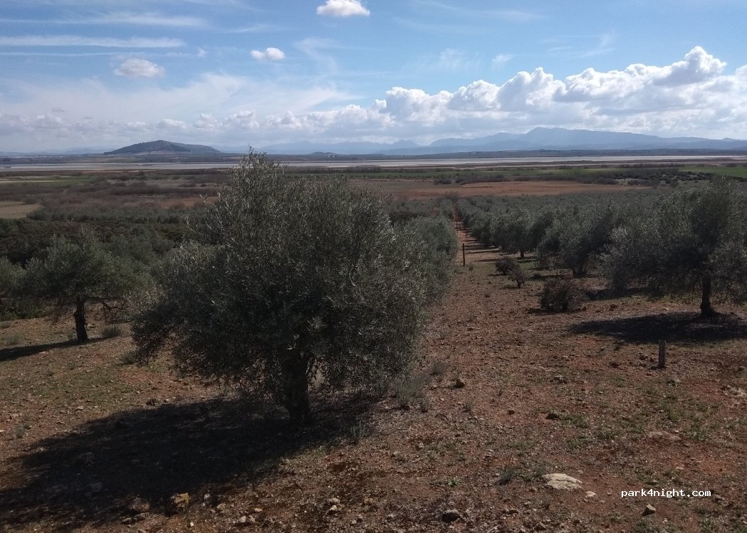 (29520) Fuente de Piedra - Carretera del Cortijo de la Herriza — foto