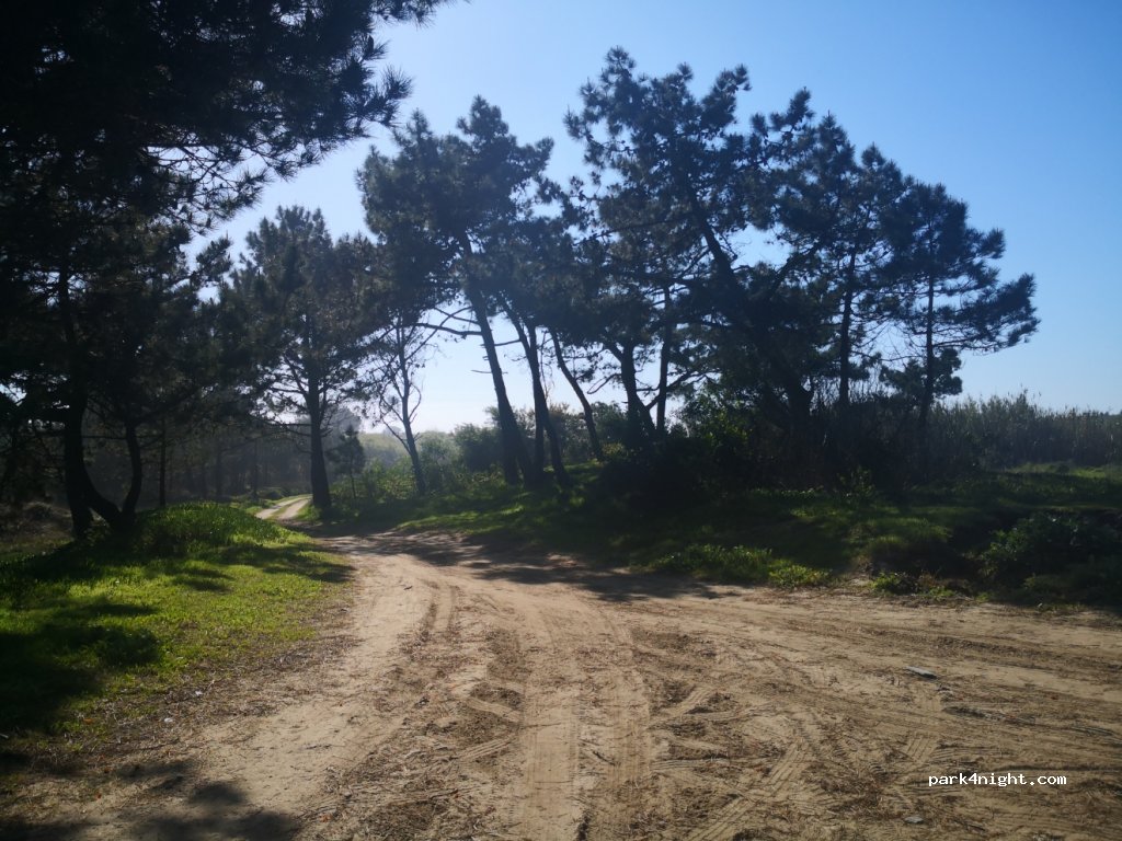 (4740) Marinhas - Rua Pinhal do Cigano — foto