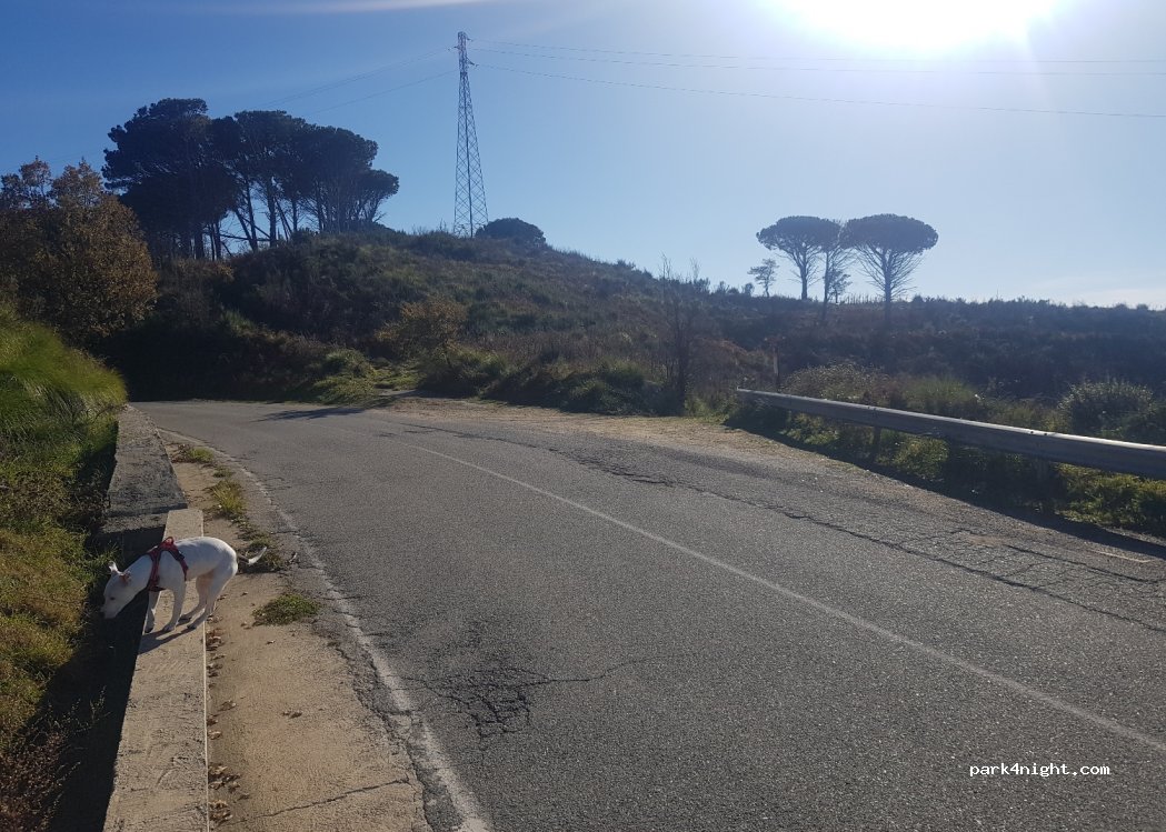 (89126) Reggio Calabria - Strada Provinciale Reggio Calabria Ortì Gambarie — foto 2