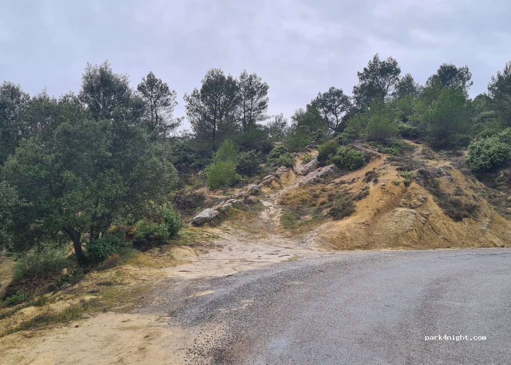 (11570) Palaja - D56 — foto 5