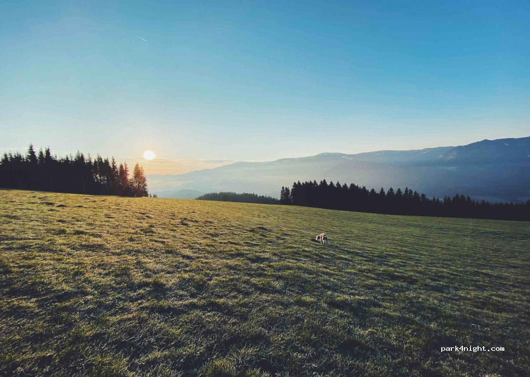 (8665) Leitenbauer - 12 Hönigsberg — foto 3