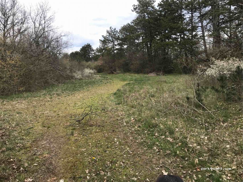 (21370) Prenois - En Bleurget — foto