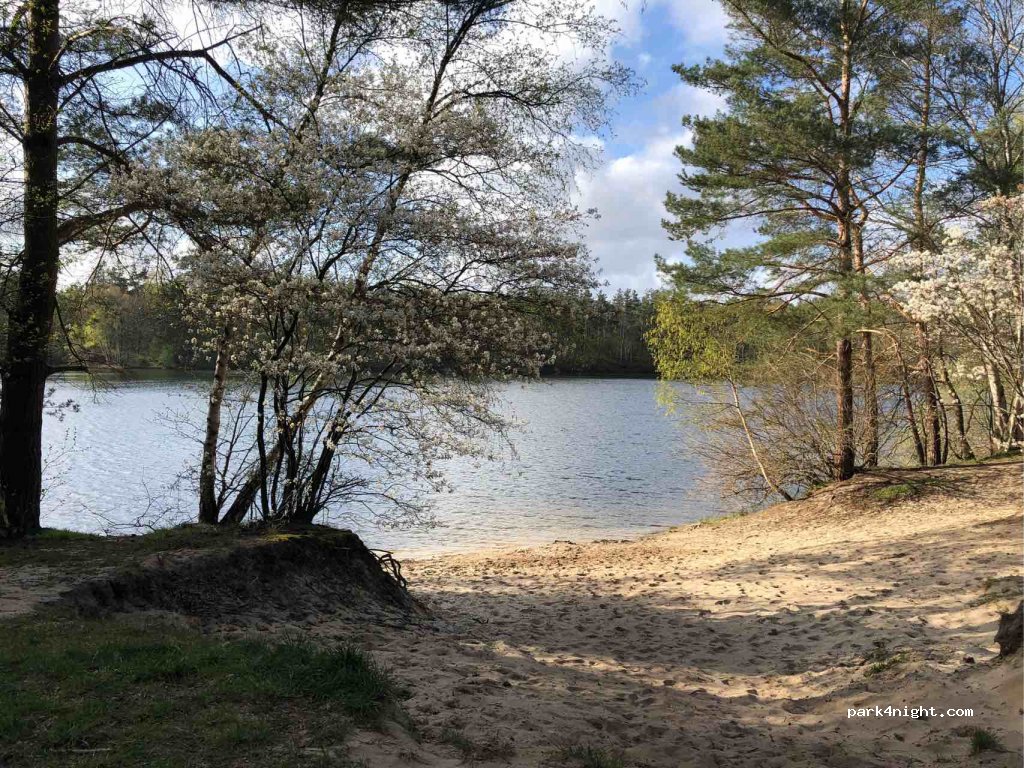 (27798) Hude - Hasenlager — foto