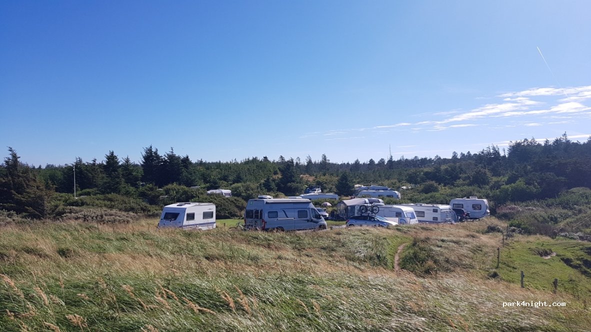 Svinkløv Camping — foto 2