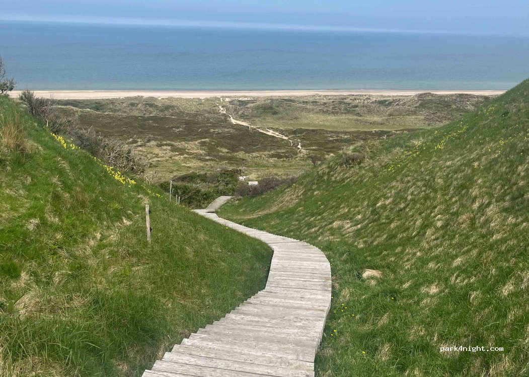 Svinkløv Camping — foto 3