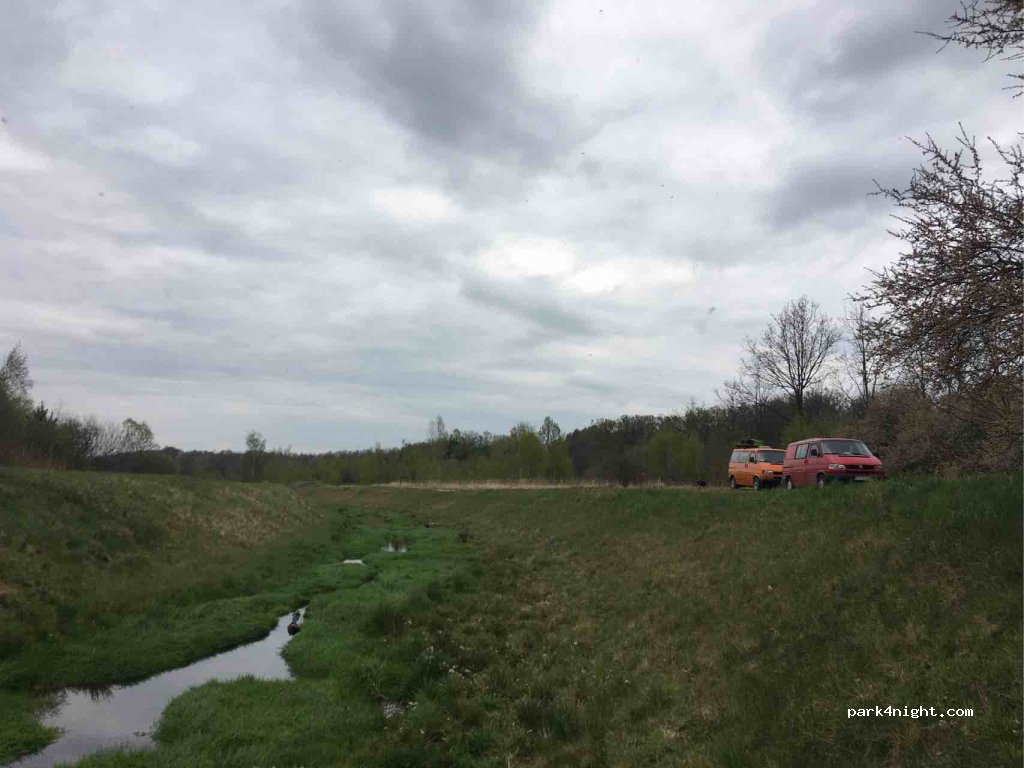 (57) Błotnica - — foto