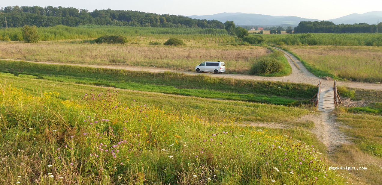 (57) Błotnica - — foto 2