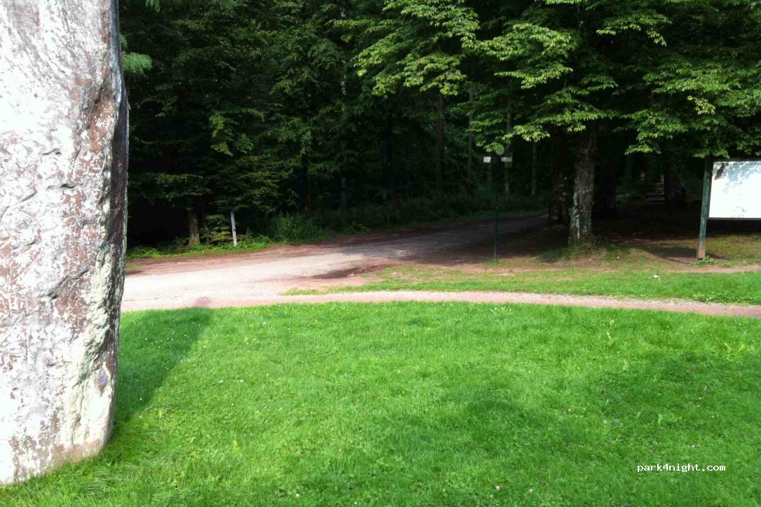 (57620) Meisenthal - D37 — foto