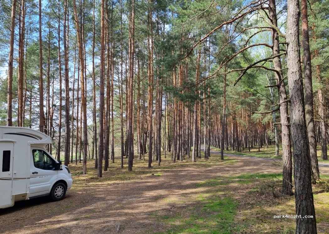 (98-335) Kałuże - — foto 3
