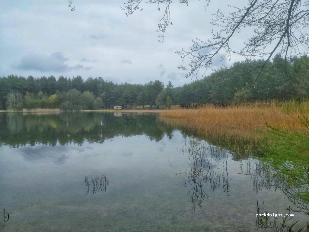 (77-130) Łąkie - Unnamed Road — foto