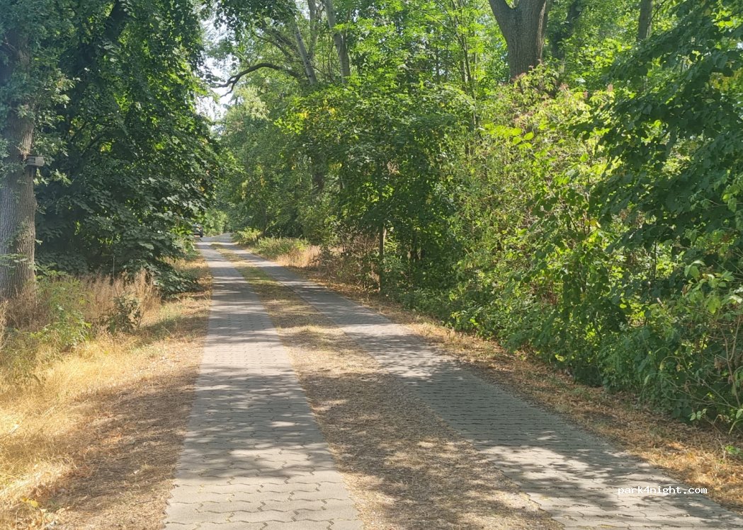 (04860) Torgau - 81 Eilenburger Straße — foto 2