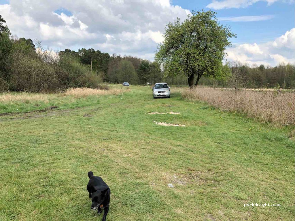 (26-670) Pionki - Unnamed Road — foto