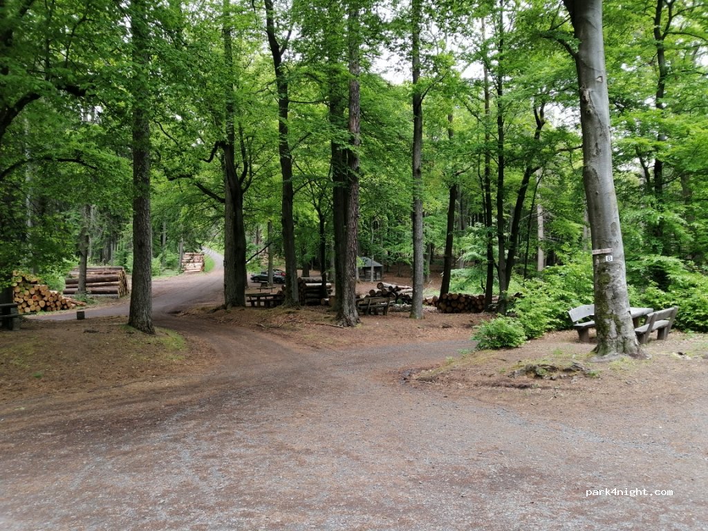 (63589) Linsengericht - — foto 2