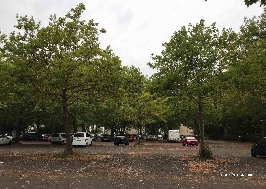 (77656) Offenburg - 11 Platanenallee — foto 3