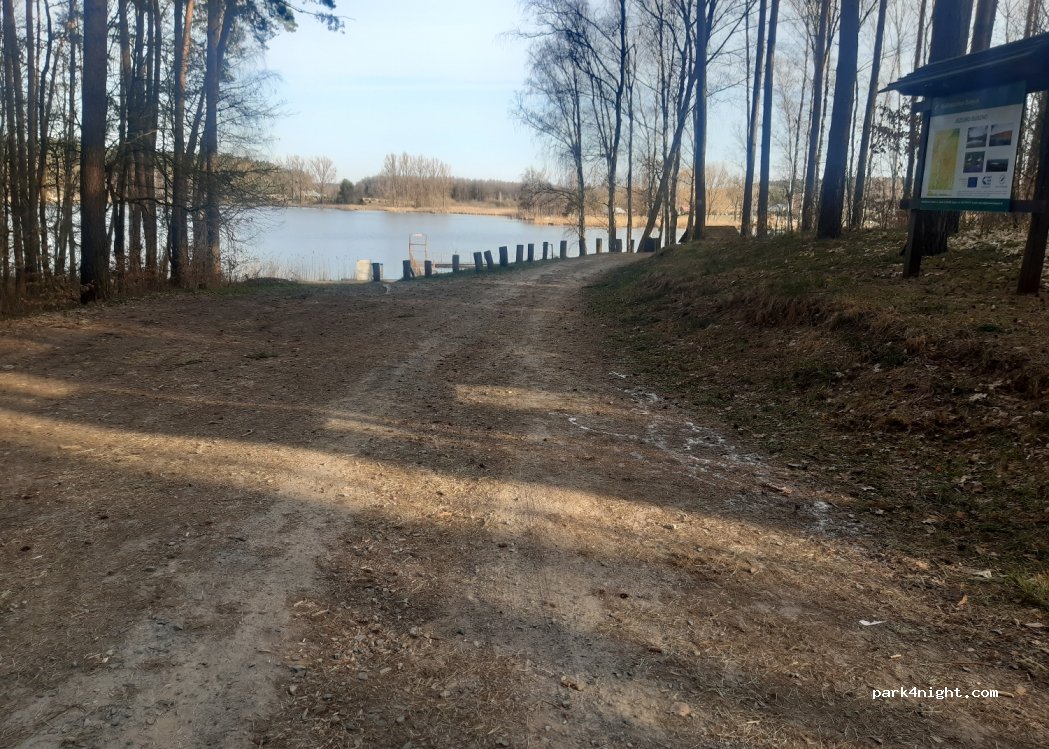 (69-200)  - Dukt leśny — foto 3