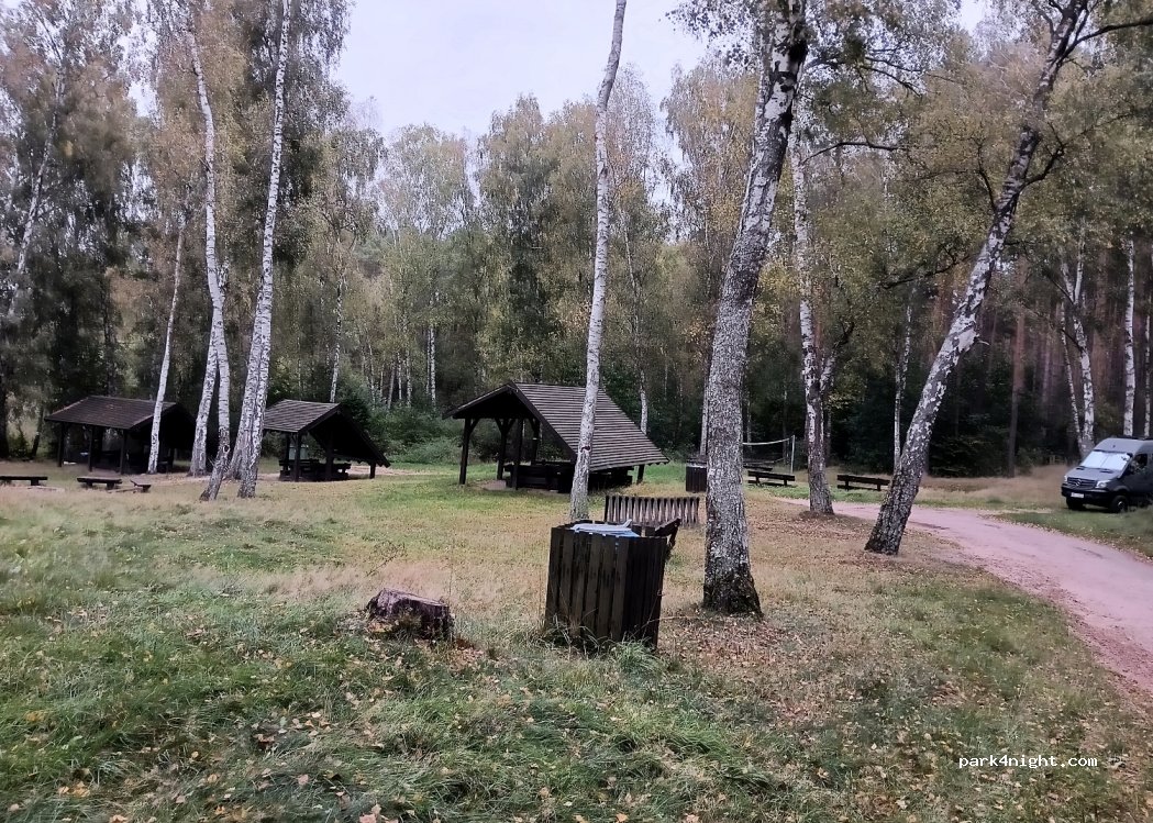 (69-200)  - Dukt leśny — foto 4