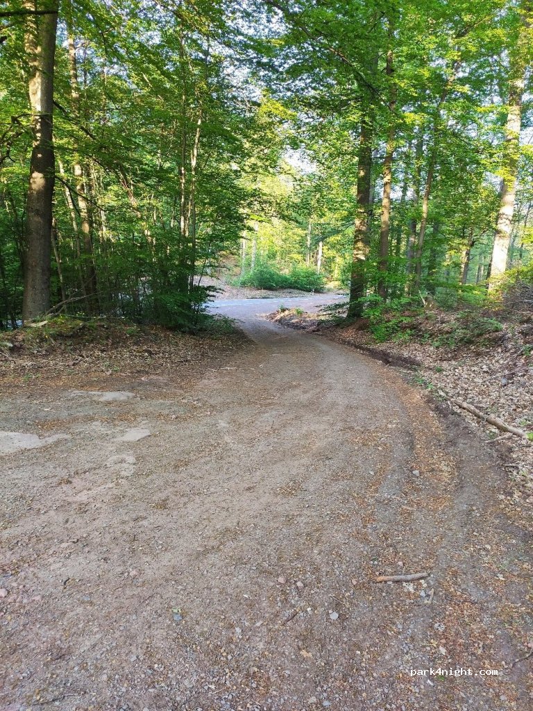 (67693) Waldleiningen - L504 — foto 3
