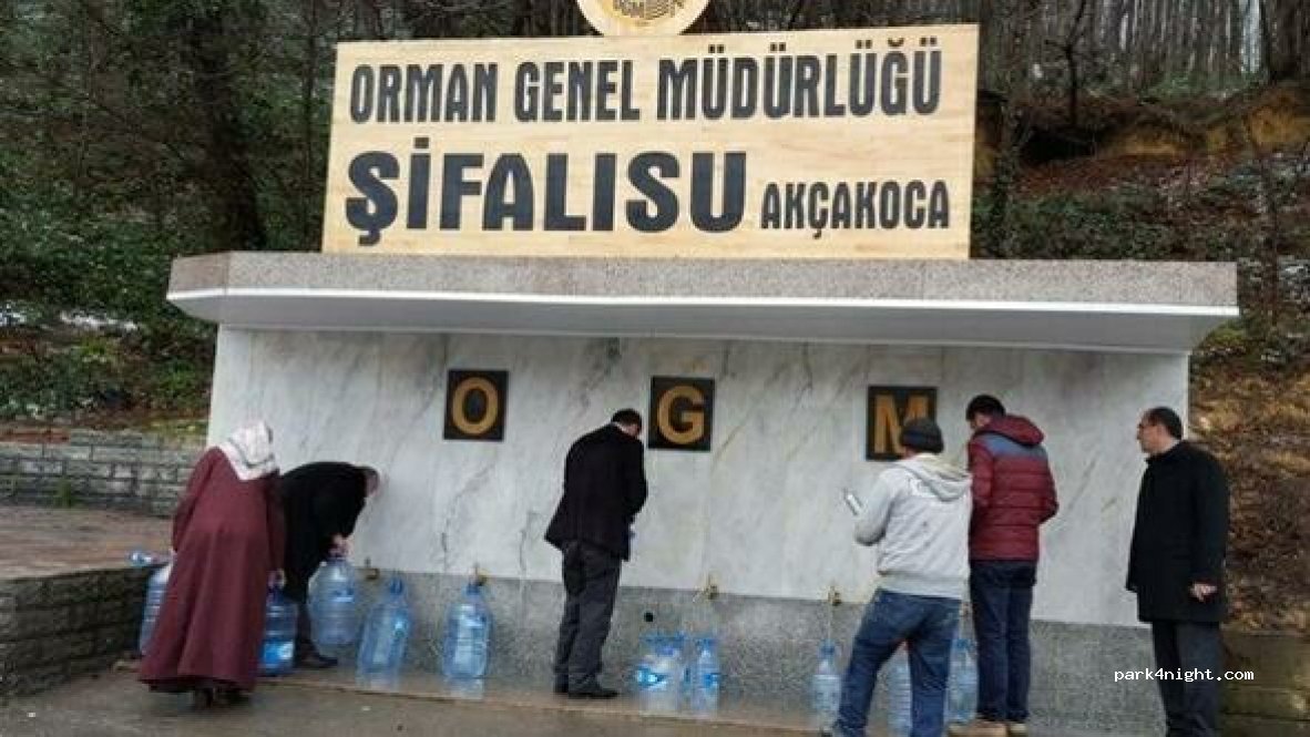 (81650)  - Düzce Akçakoca Yolu — foto
