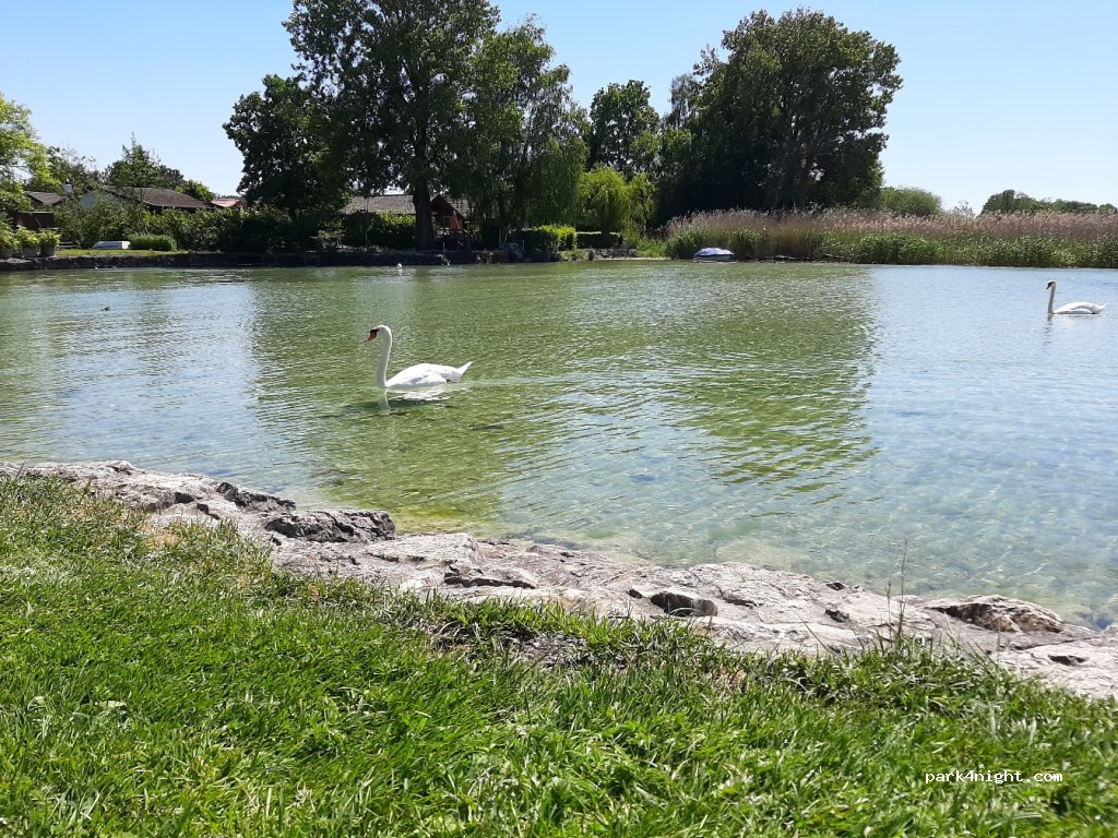 (1588) Cudrefin - 3 Route de Neuchâtel — foto 4