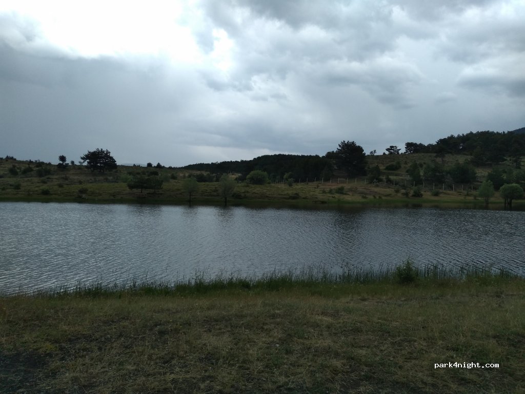 Pond Nature Park Query — foto