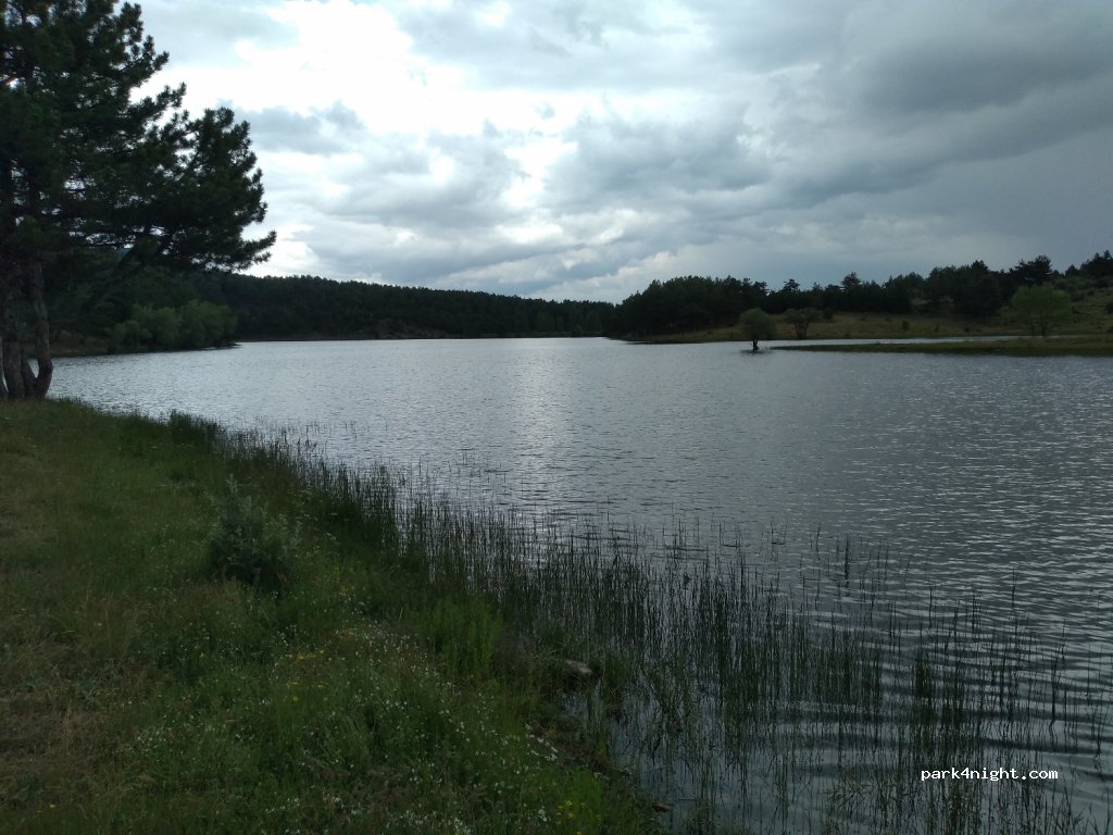 Pond Nature Park Query — foto 2