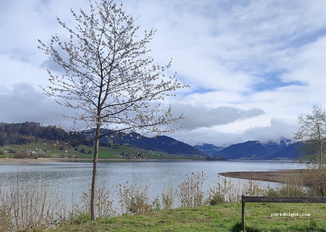 (8847) Einsiedeln - Staumauerstrasse — foto 5