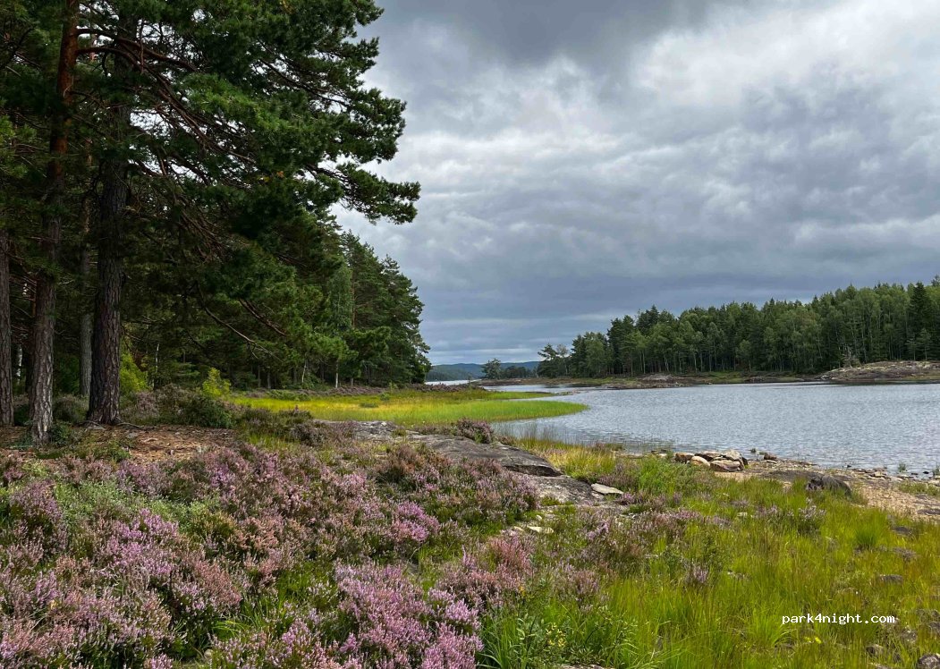 (1792) - Primær Fylkesveg 21 — foto 4