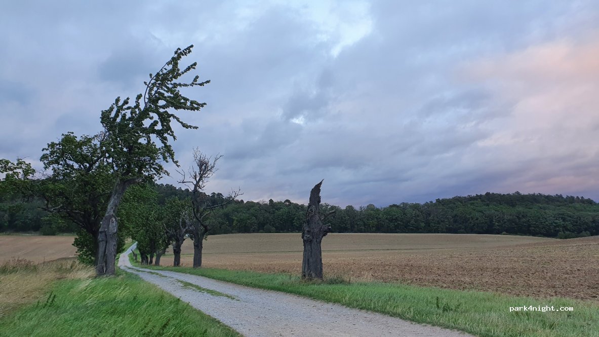 (38889) Cattenstedt - Unnamed Road — foto 2
