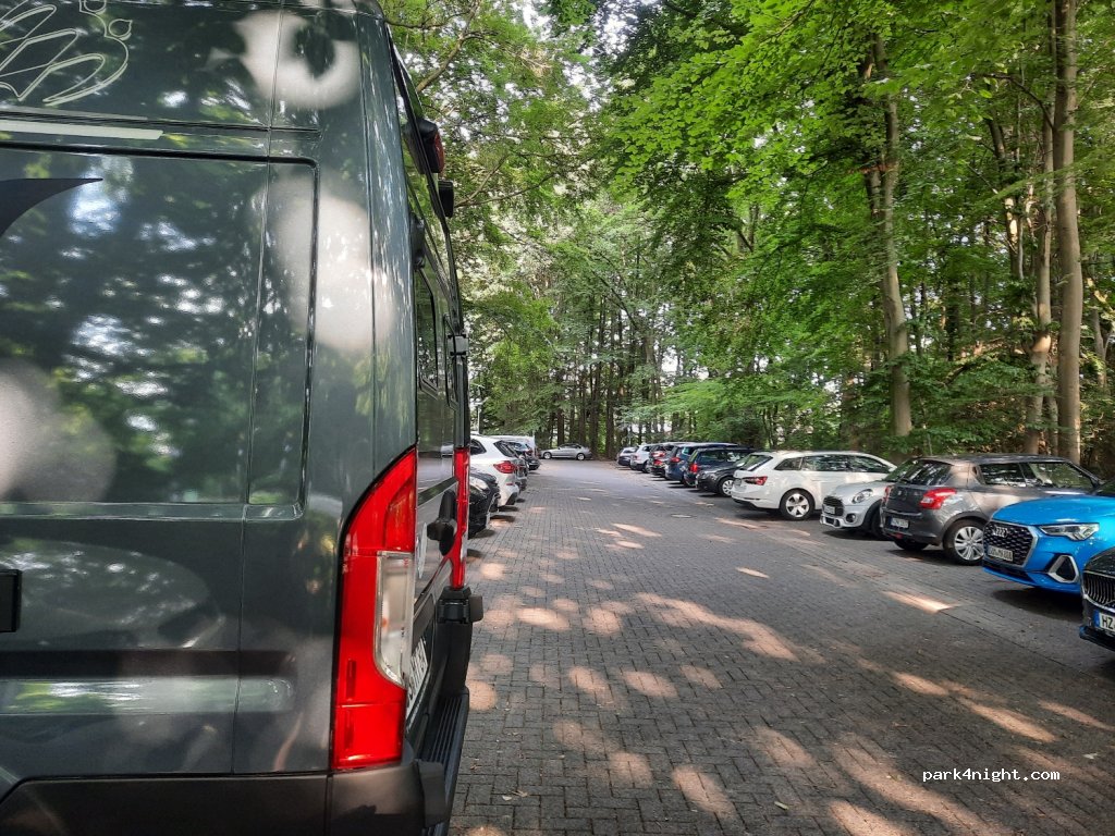 (48149) Münster - 55 Kardinal-von-Galen-Ring — foto 4