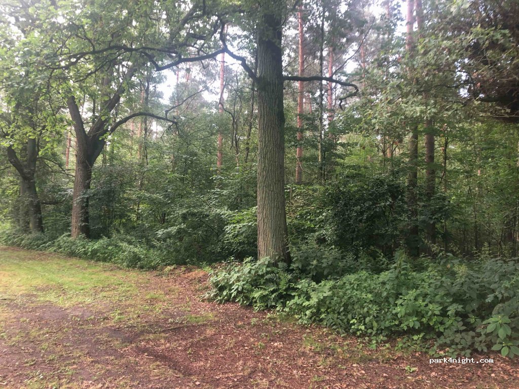Campingplatz Glockenheide — foto 3